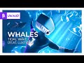 Whales - Tidal Wave (feat. Luxtides) [Monstercat Release]