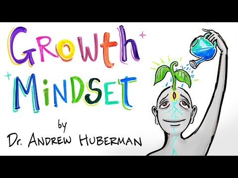 How Feedback Affects Performance - Andrew Huberman - Growth Mindset