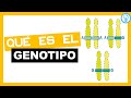 Comprendiendo el Genotipo y el Genoma