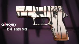 P250 Bengal Tiger Gameplay