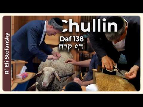 Daf Yomi Chullin Daf 138 by R' Eli Stefansky