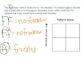 Genetics: Alleles and Punnett Squares