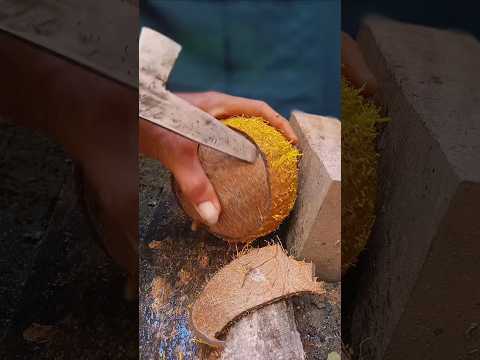 Easy trick to break a coconut🥥 #shorts