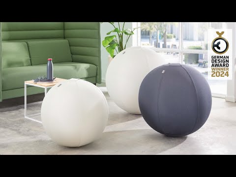 Balón de Asiento Antideslizante Leitz Ergo Active (ES)