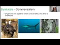 Ecological Relationships and Interactions
