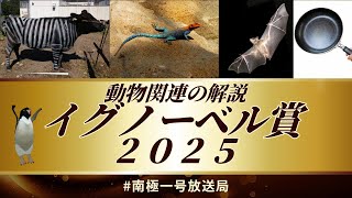 【南極一号放送局】2025動物関連のイグノーベル賞を語る　新作動画投稿