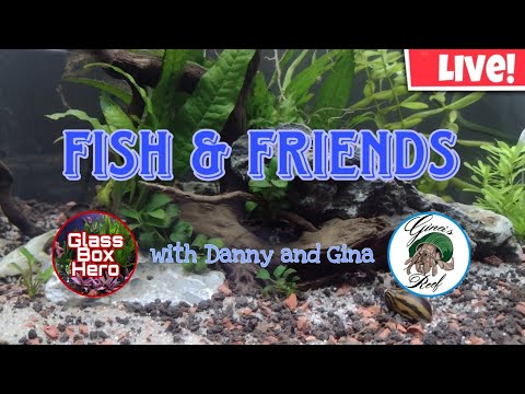 Fish & Friends with Danny and Gina | Season 2, Epi #GlassBoxHero #GinasReef #Aquariums #Saltwater #Birds #Freshwater 

Don't forget to go over to Gina'