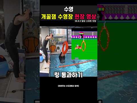 꿀잼 <strong>수영장</strong> 영상