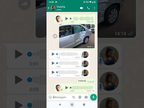 você bateu no meu carro