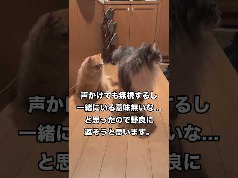 夫婦円満には会話が大事