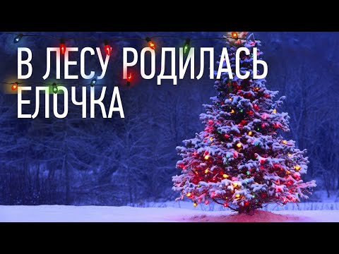 а помните в детстве наряжена елка на кухне пельмени лепили так долго. Смотреть фото а помните в детстве наряжена елка на кухне пельмени лепили так долго. Смотреть картинку а помните в детстве наряжена елка на кухне пельмени лепили так долго. Картинка про а помните в детстве наряжена елка на кухне пельмени лепили так долго. Фото а помните в детстве наряжена елка на кухне пельмени лепили так долго