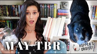 May TBR with a special guest!