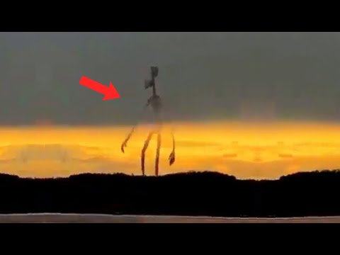 They Filmed A Giant Creatures In Wisconsin, Then This Happens