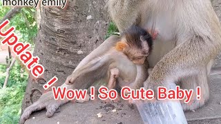 Oh! Very !Very ! Cute !