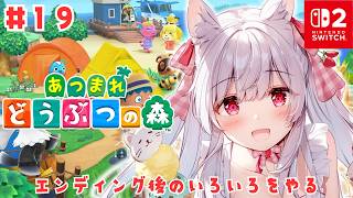 【あつまれどうぶつの森】アプデ新要素「リゾートホテル」解放 #19【明堂しろね/ハコネクト】