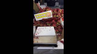 Shyo Video 山药视频