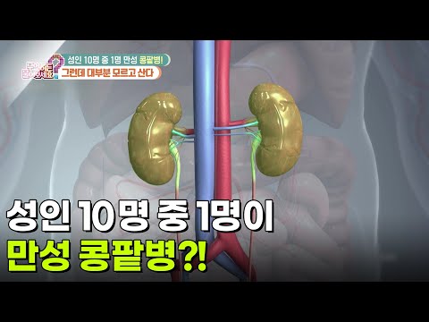 [의학 팩트체크] 성인 10명 중 1명이 만성 콩팥병?! 그런데 대부분 모르고 산다 [무엇이든 물어보세요] | KBS 260928 방송