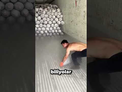 Donmuş ton balıkları domino taşı gibi devrildi! 😱