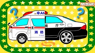 動画サムネイル