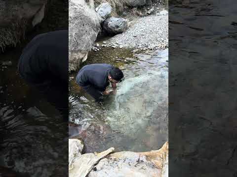 Caught three fish in single cast best spot for fishing #fishing