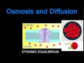 Cell Behavior in Different Environments