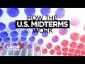 Midterm Elections and Political Trends