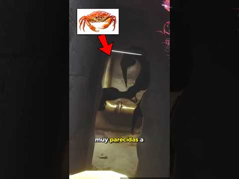 El Cuerpo Completo del Prototipo 1006 | #Shorts