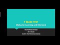 Y-Maze Protocols and Measurements