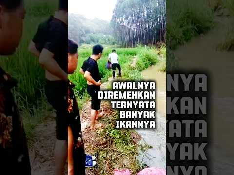 Menangkap ikan disungai kecil dengan jaring #mancing #fishing #trending #amazing