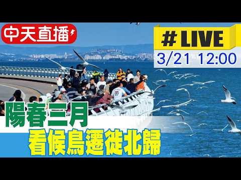 【中天直播#LIVE】陽春三月 看候鳥遷徙北歸 20260321 @全球大視野Global_Vision