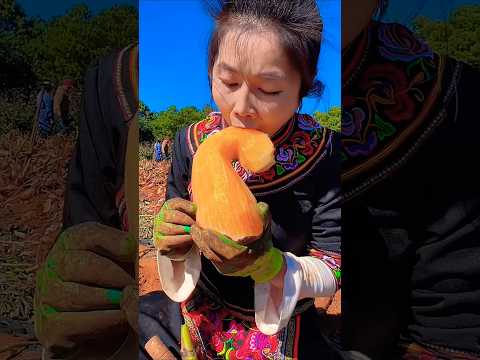 Some most different types of tasty fruits🍓🍉🍒🍎#fruit #nature #garden #gardening #vegetables