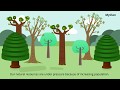 Population Growth and Environmental Impact