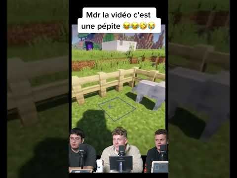Essayez de ne pas rire 🤣