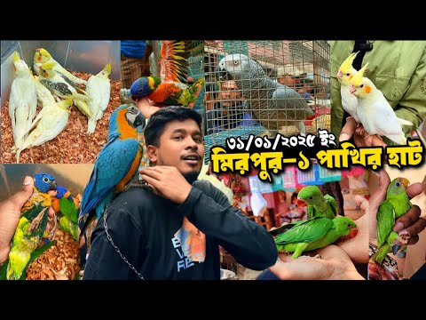 মিরপুর ১ পাখির হাট | আবারও জমজমাট পাখির হাট | চন্দনা, গ্রে প্যারট, মেকাউ ককাটেল সহ অনেক পাখি 31Jan25