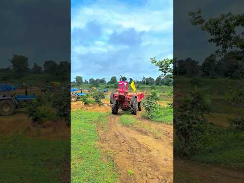 Mahindra 275 DI Tractor🚜 Pawer | tractor short video#shorts #nature #villagelife #tractor #mahindra