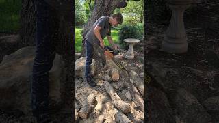 When You Give Boys a Chainsaw… 🪚🪵