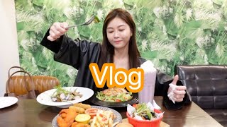 Vlog
