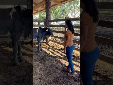 #foryou #vidanaroça