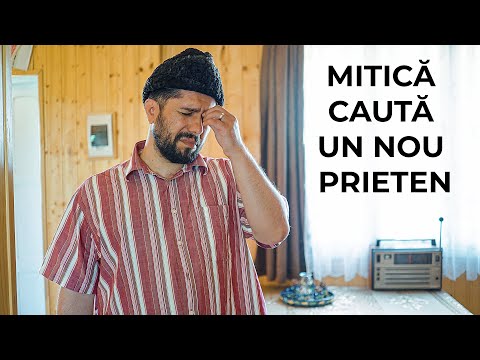 MITICĂ CAUTĂ UN NOU PRIETEN #3chestii