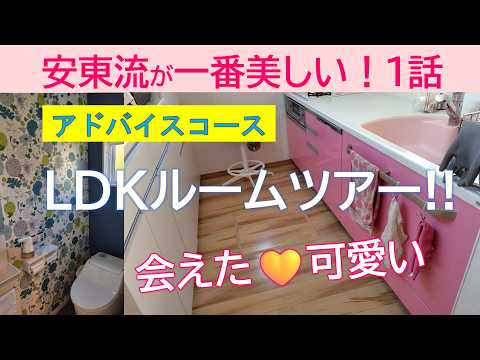 【1話】／安東流が一番美しい！　会えた！可愛い！！お片付け1日～教えて？【お片付け依頼】詳細は概要欄に