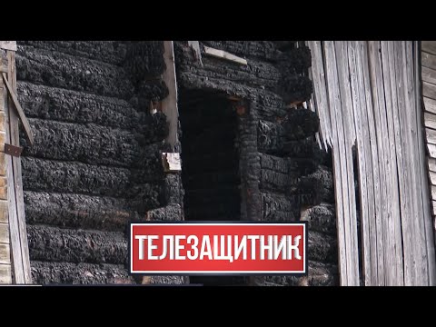Телезащитник. 25.06.2024