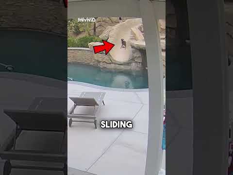 This girl saved her dog’s life? #shorts