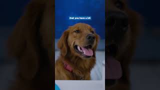 End-of-Year Reviews Part 3