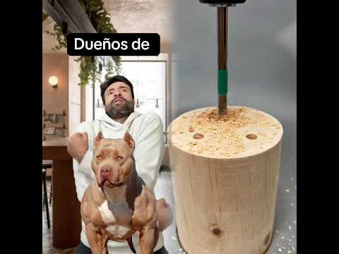 #perros #comedia #mascotas #cafe