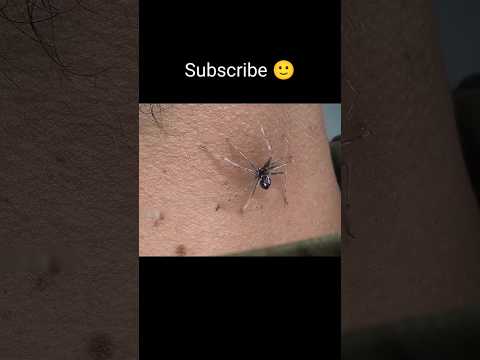 Become Spiderman ๐ | #shorts #marvel #mcu