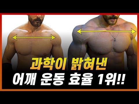 어깨가 확실히 빠르게 벌크업됩니다.