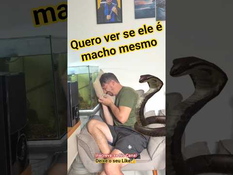 Quero ver se ele é macho mesmo kkk