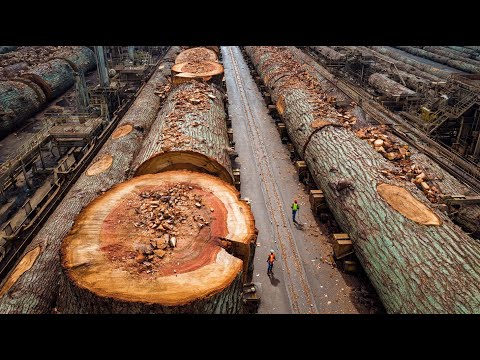 Powerful Wood Processing Machines: Logging, Debarking, and Sawmilling in Action