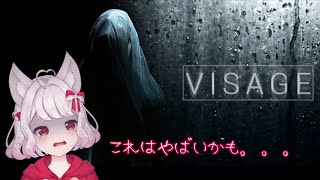 【ホラゲー～visage～】今夜眠れるかな？、、、【#VTuber/＃パティアンルー/#ルーちゃん】