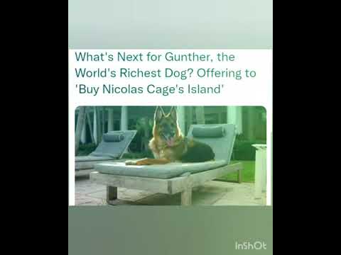 What's Next for Gunther, the World's Richest Dog? Offering to 'Buy Nicolas Cage's Island'